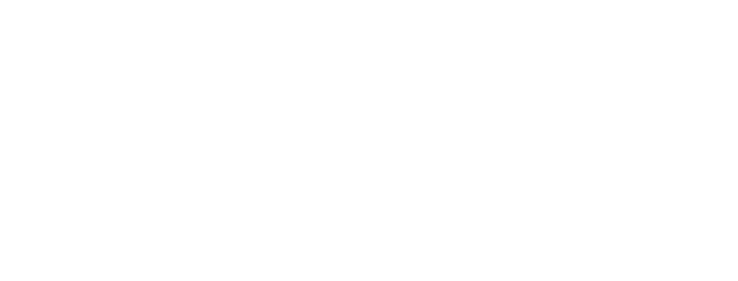 Dana Samples Designs